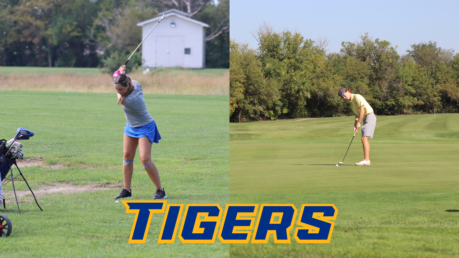 Tigers at CKC 2025 (1)