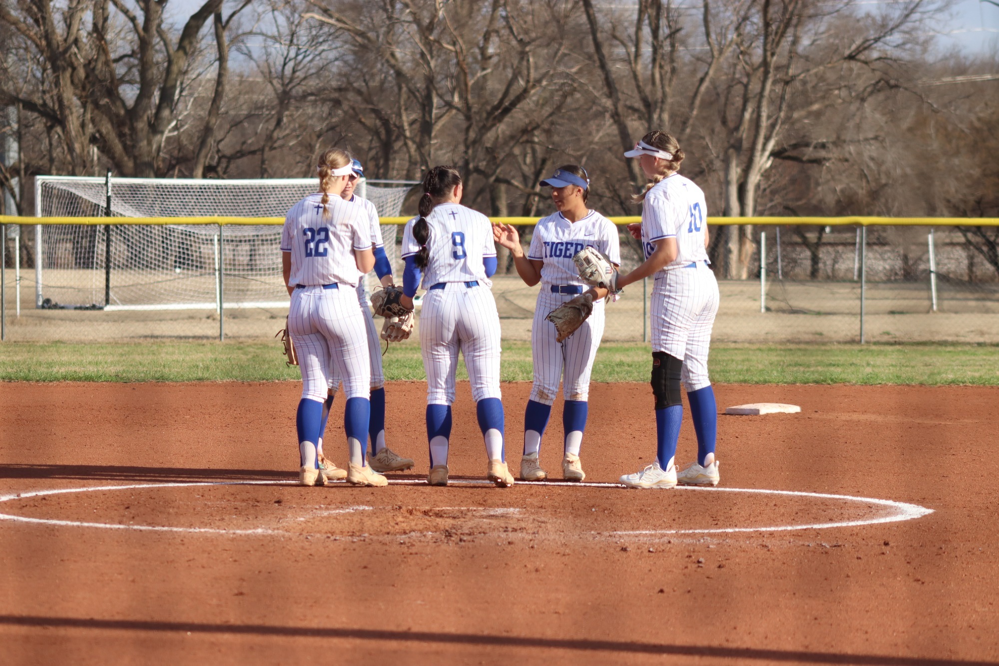 Tiger Softball Huddle