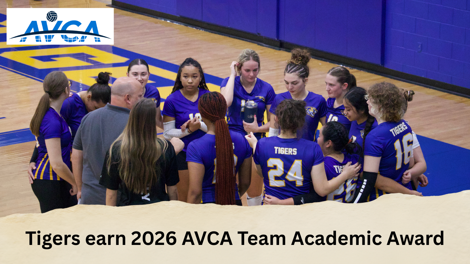 Tigers AVCA Team Academic Graphic