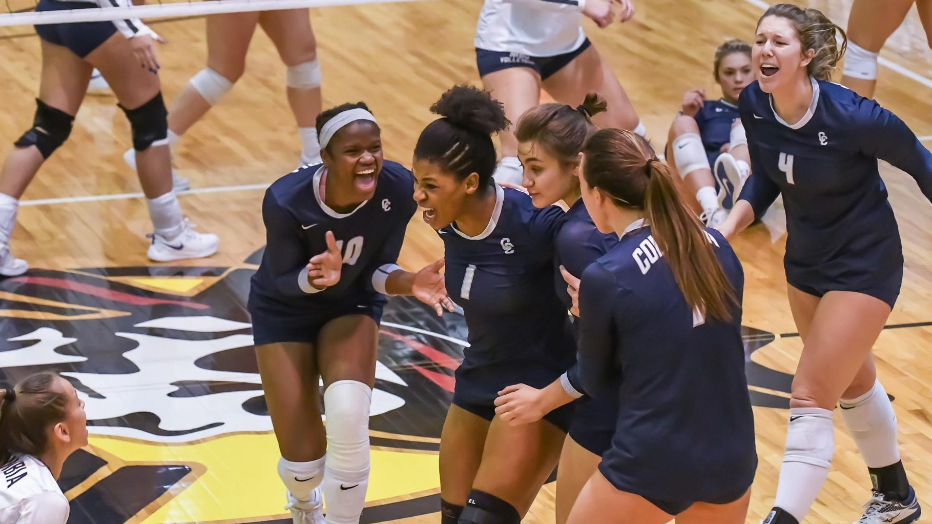 Thais Andrade Women's Volleyball Columbia College Athletics