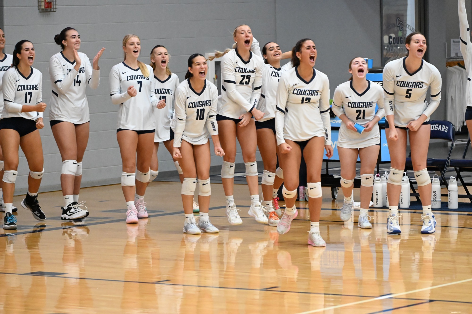 volleyball team