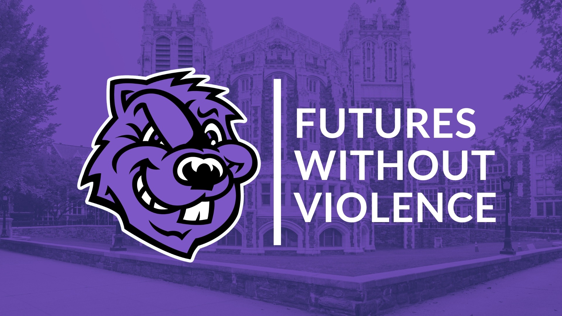 Futures Without Violence 