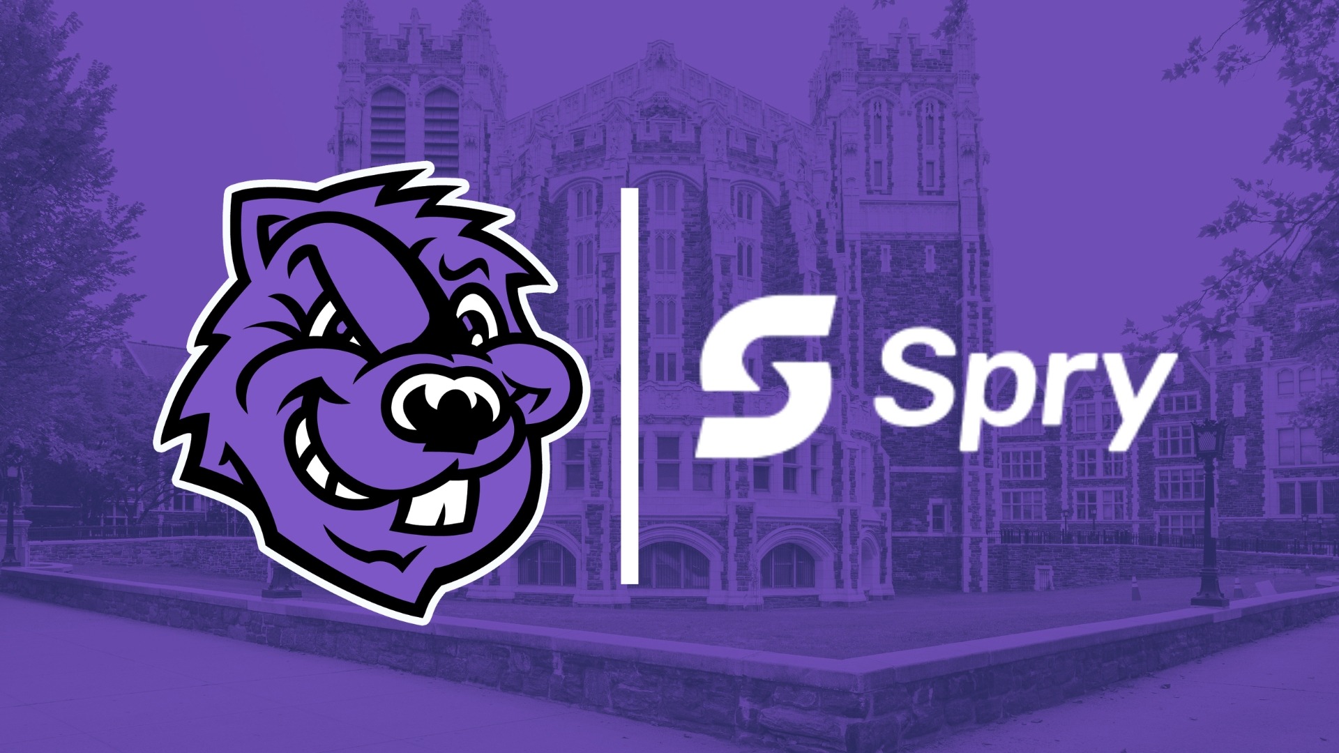 CCNY Spry