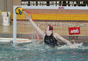Lindsay Morrison