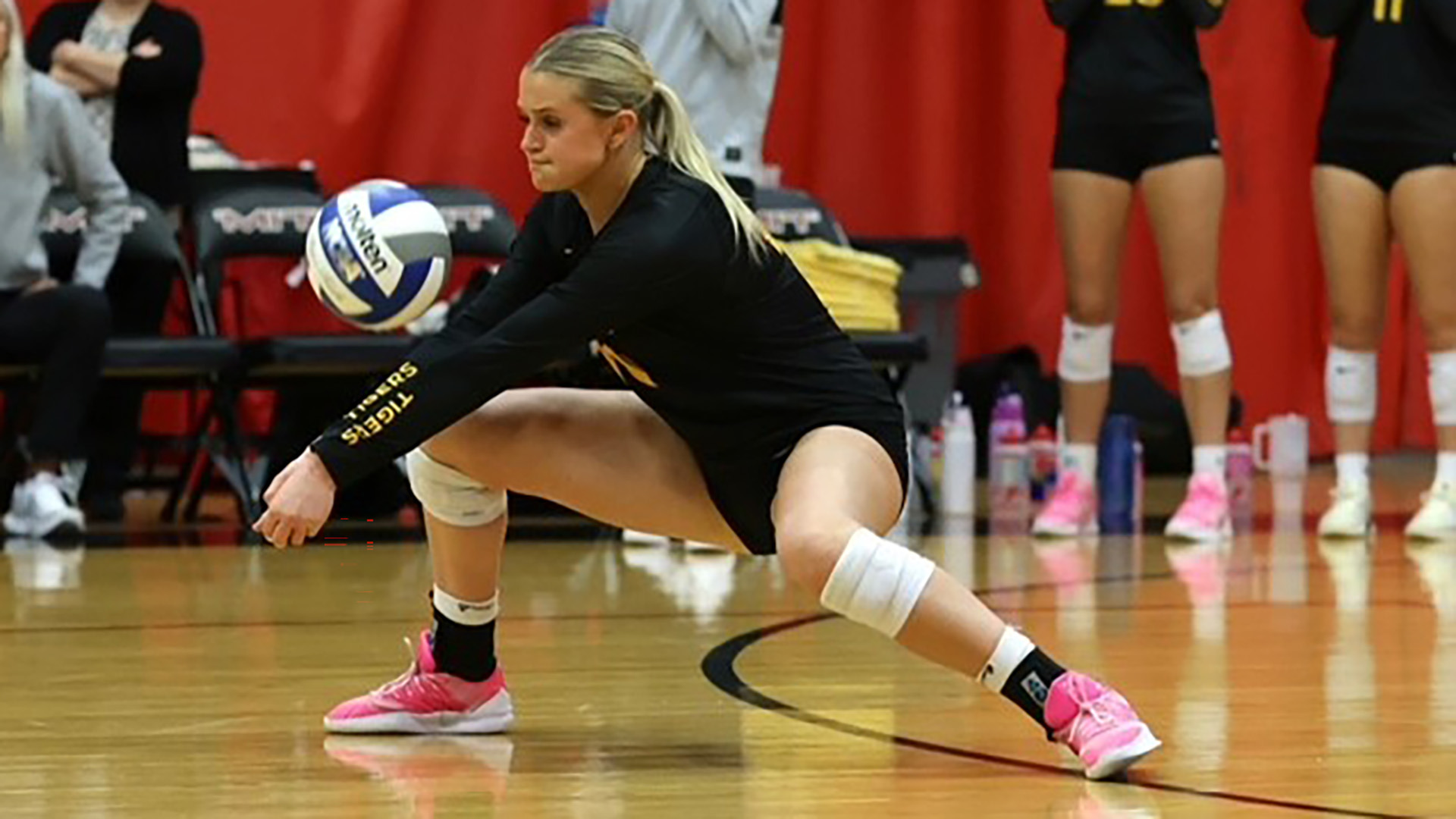 Camille Sherrill NCAA