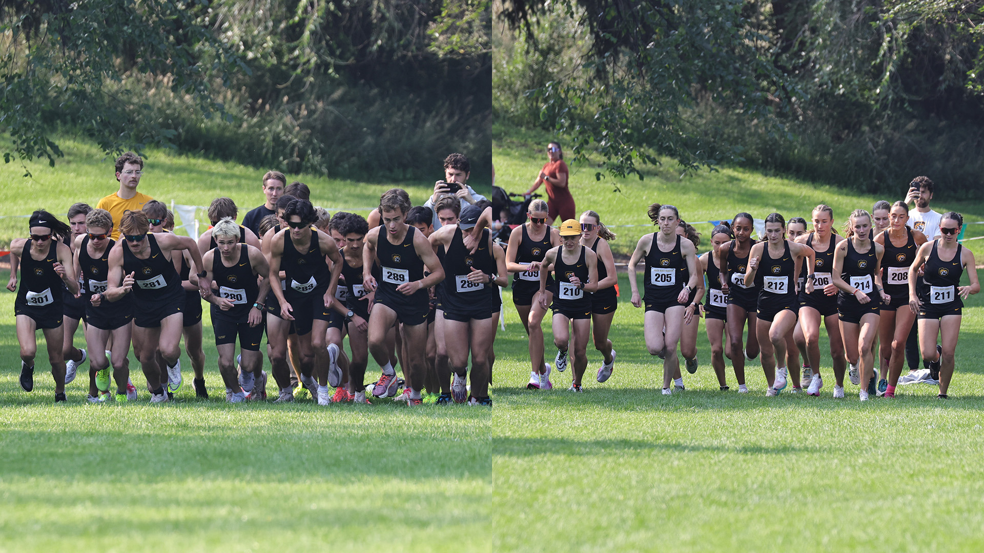 XC Nationals Preview