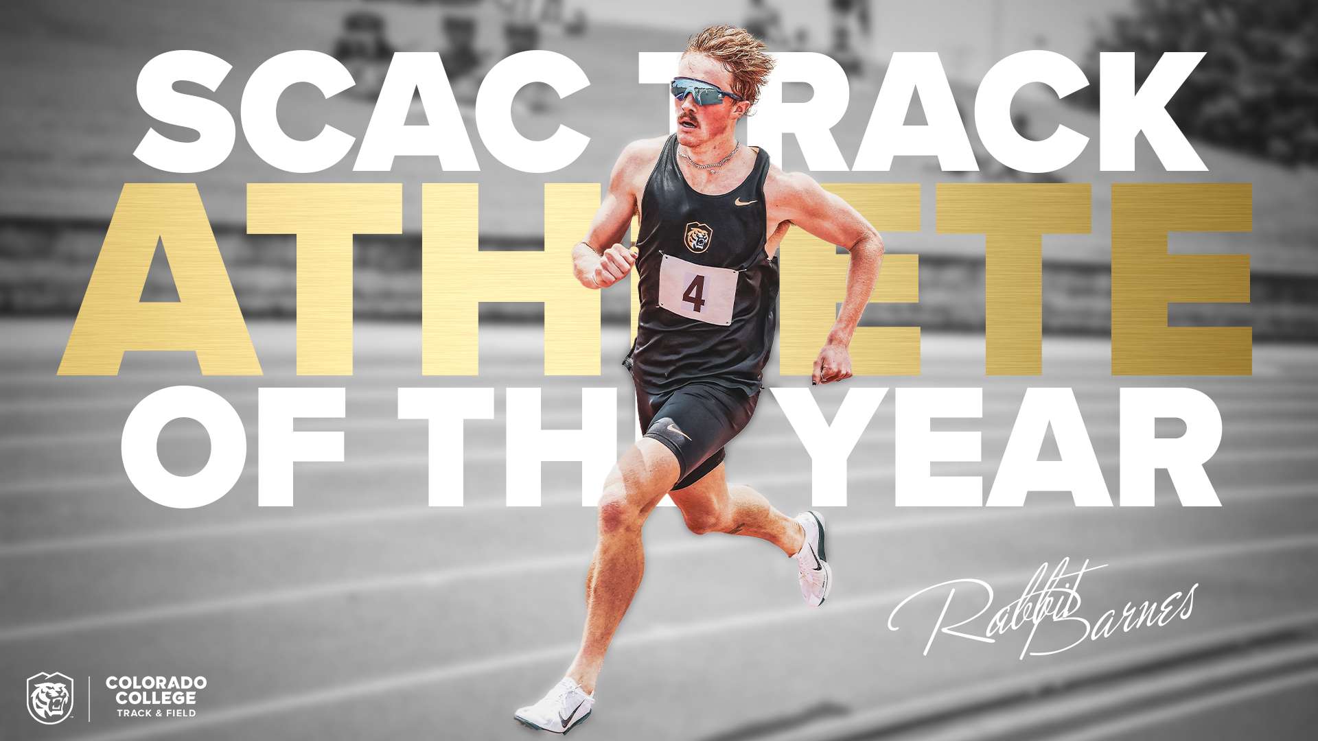 Rabbit Story Graphic