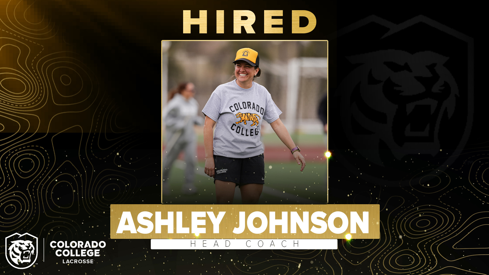 Ashley Johnson Hire