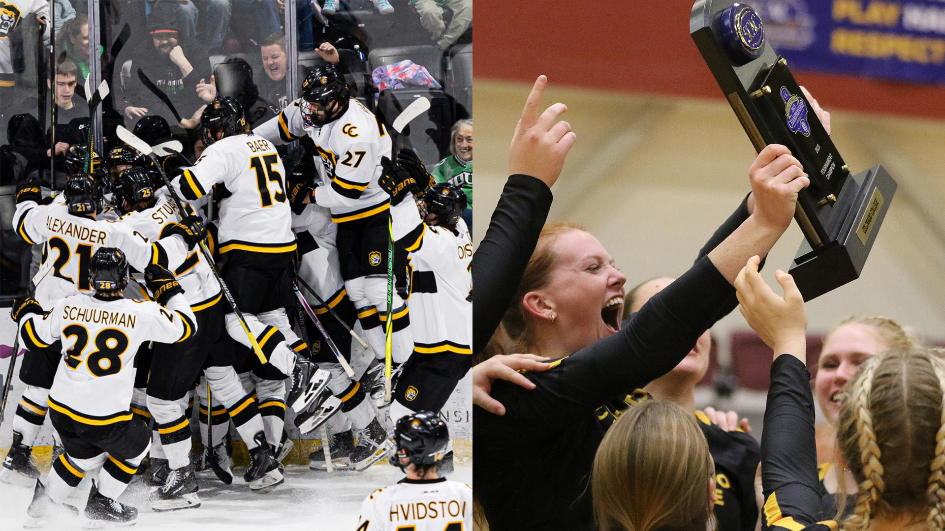 Lyon Release web photo