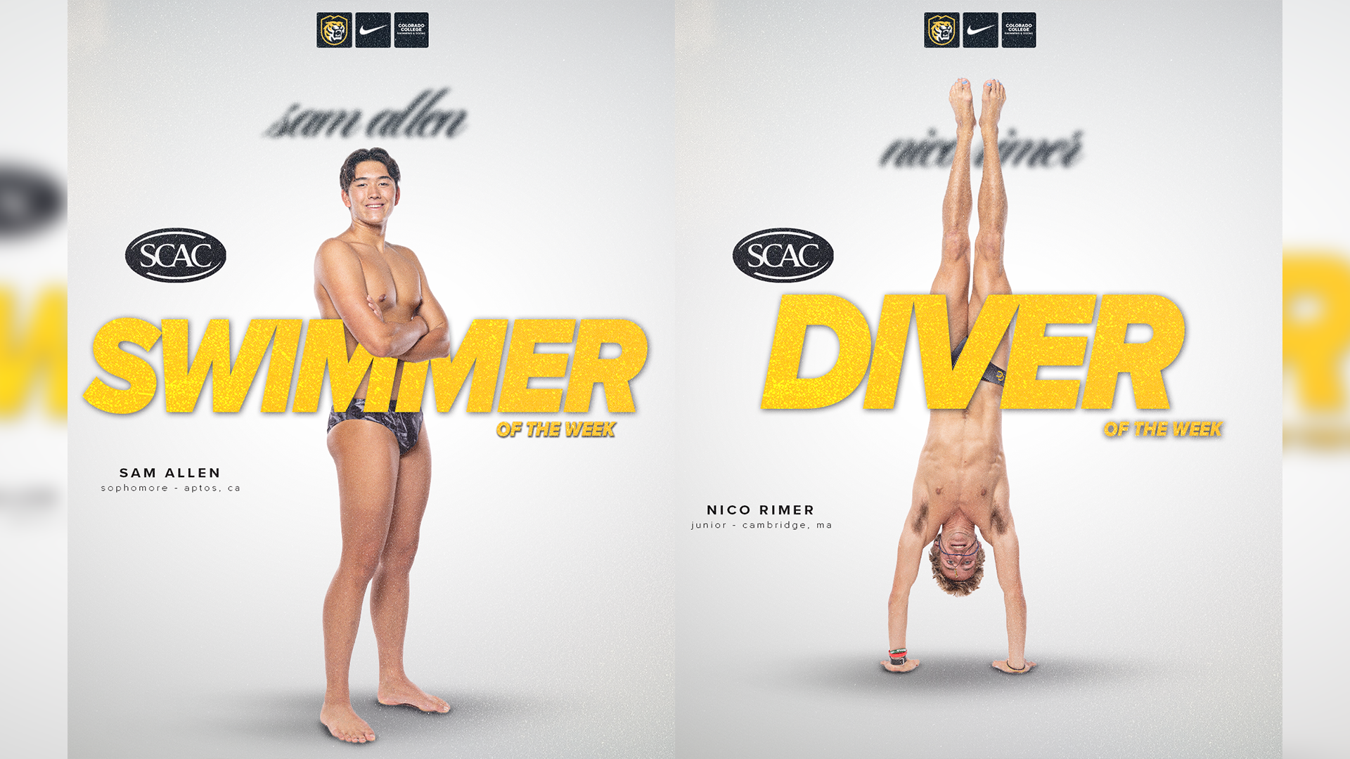 Swim and DIve Mens AOTW