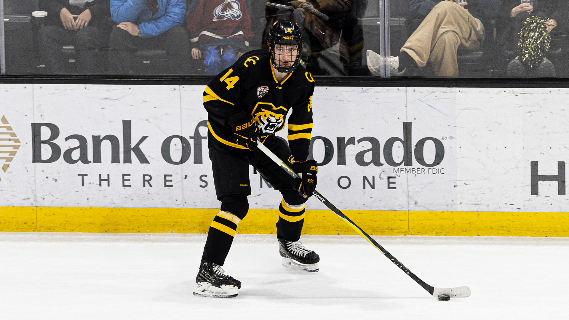 Connor Hvidston vs. SFU