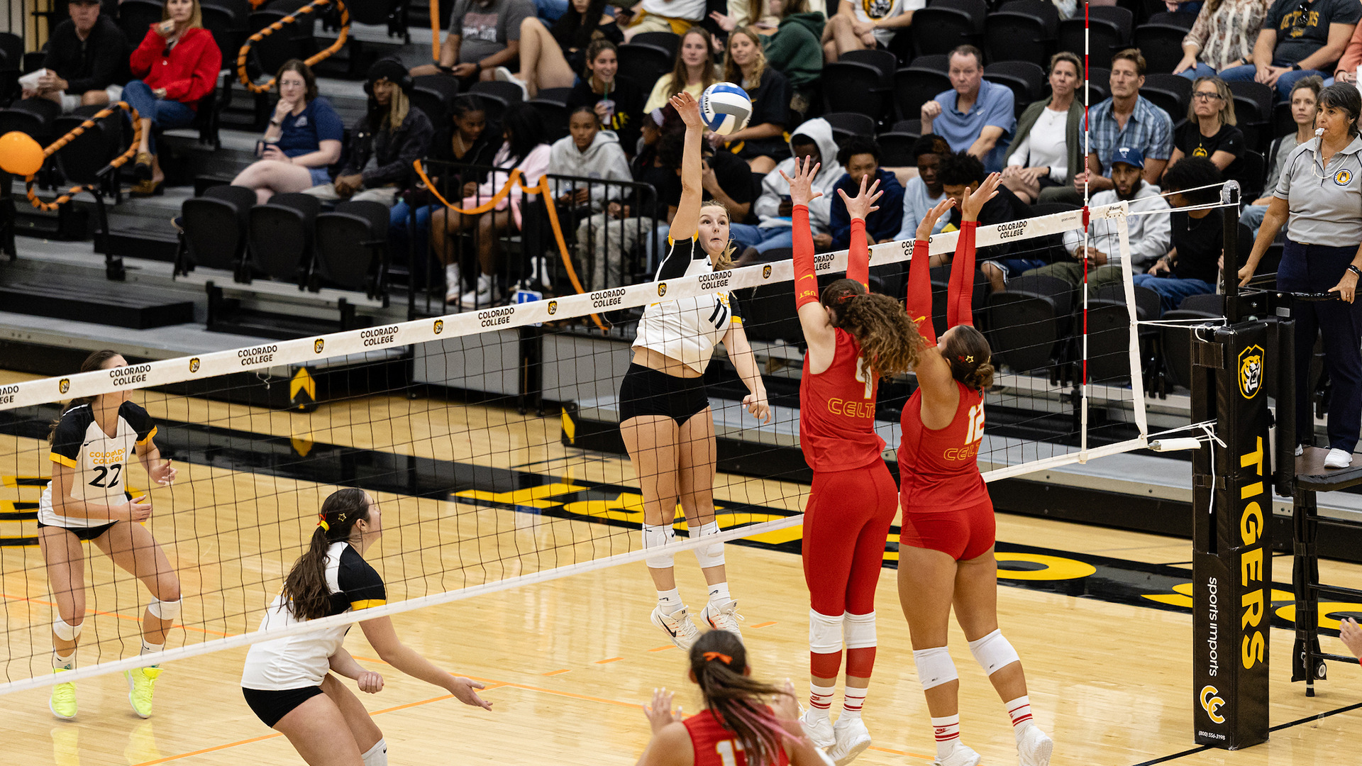 Delaney Dorscht vs. UST