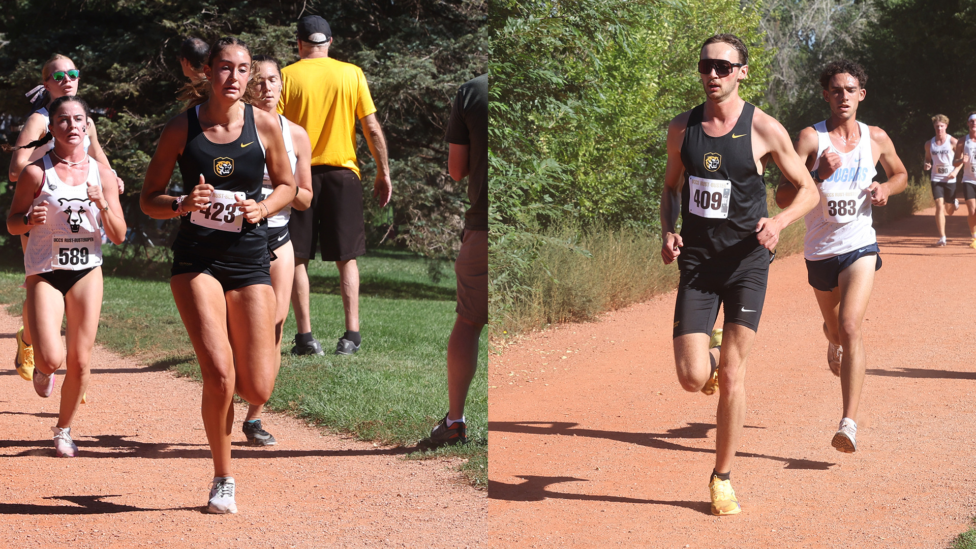 Augustana XC Preview