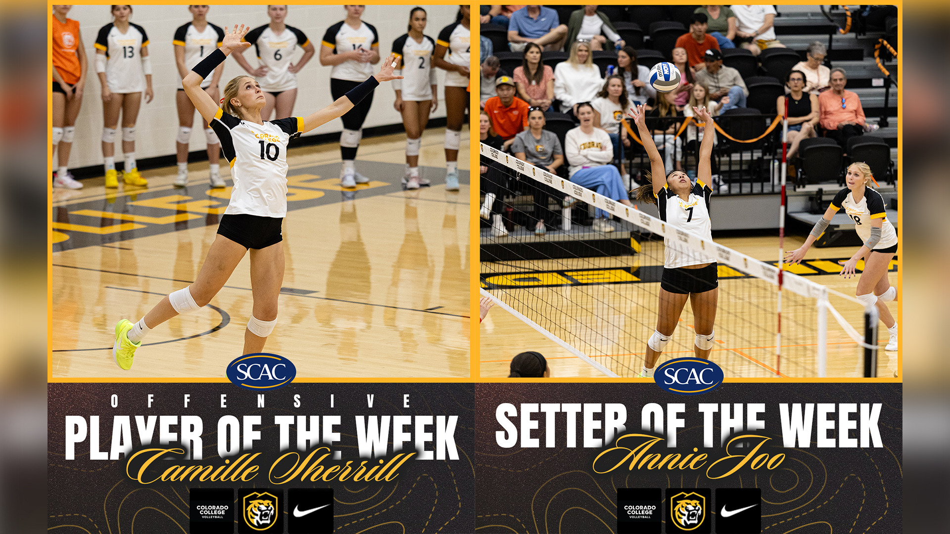 VB POW 10-17