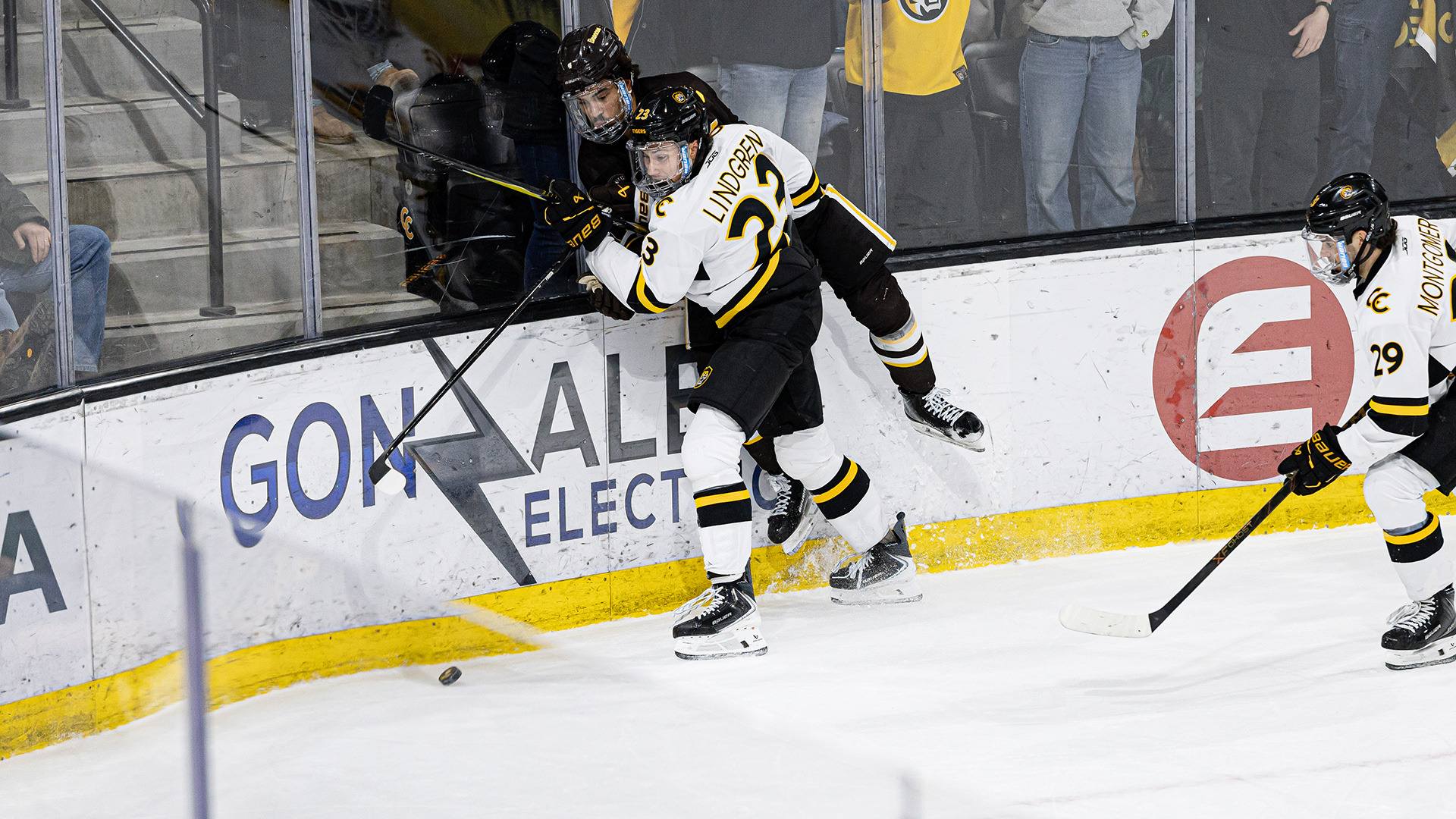 Mats Lindgren vs. WMU