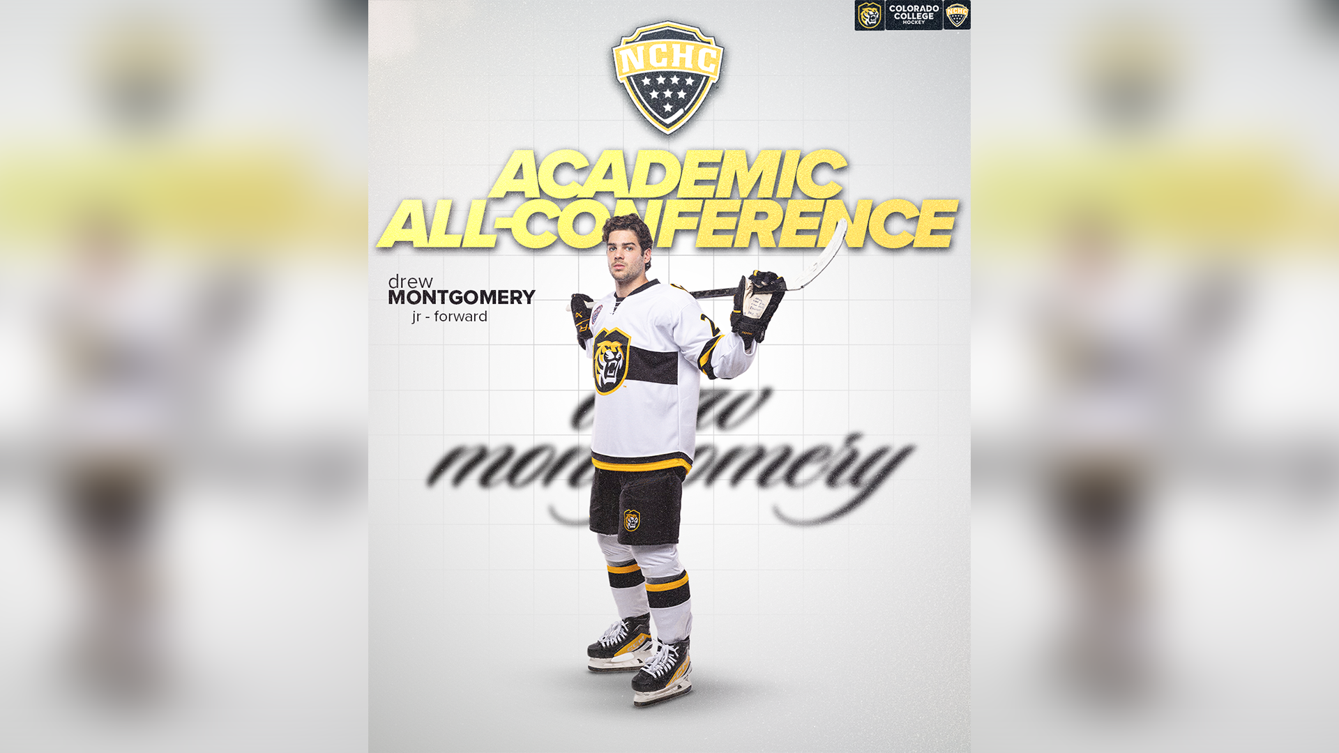 NCHC Academic All Conference