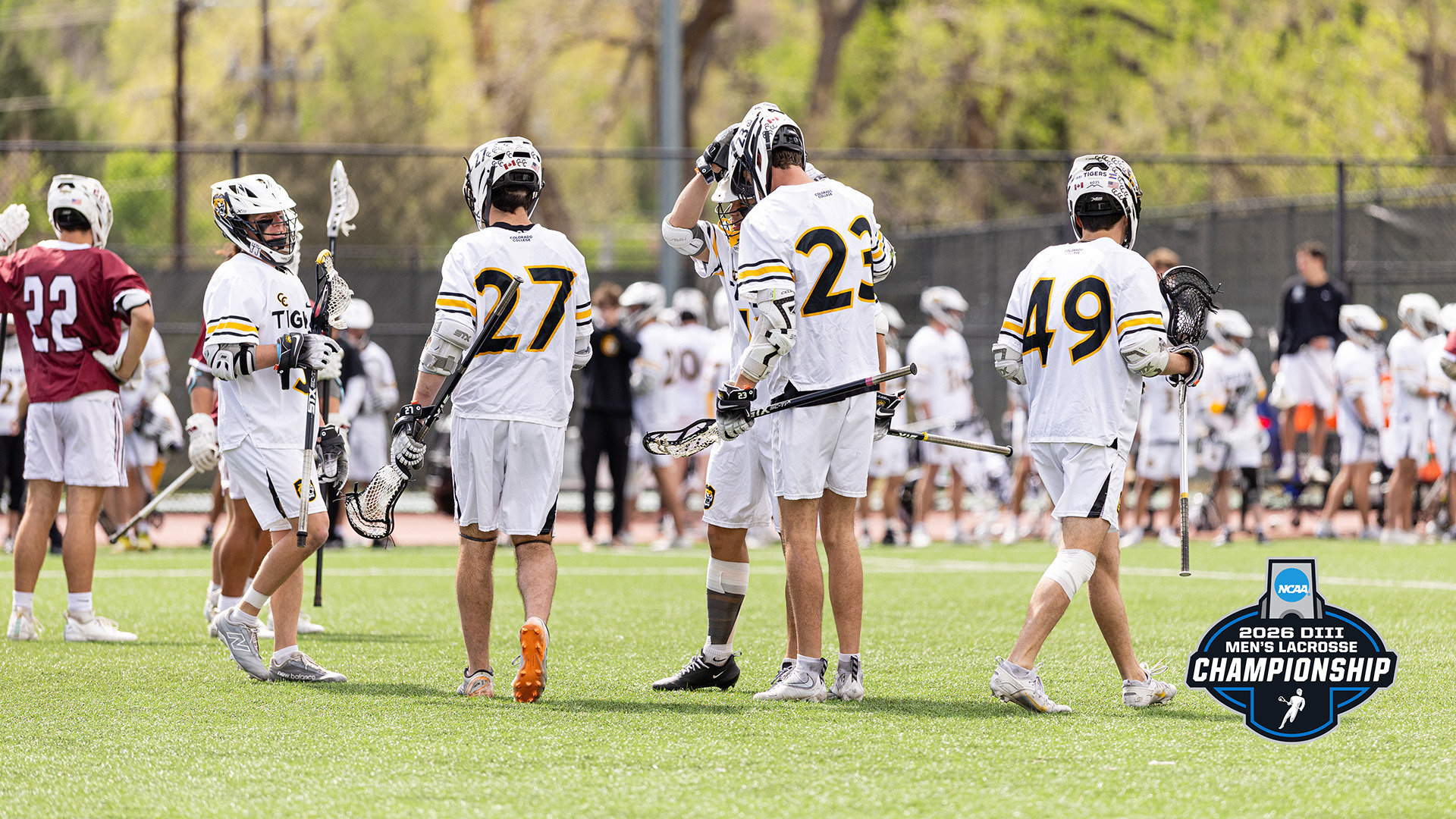 MLAX in NCAA