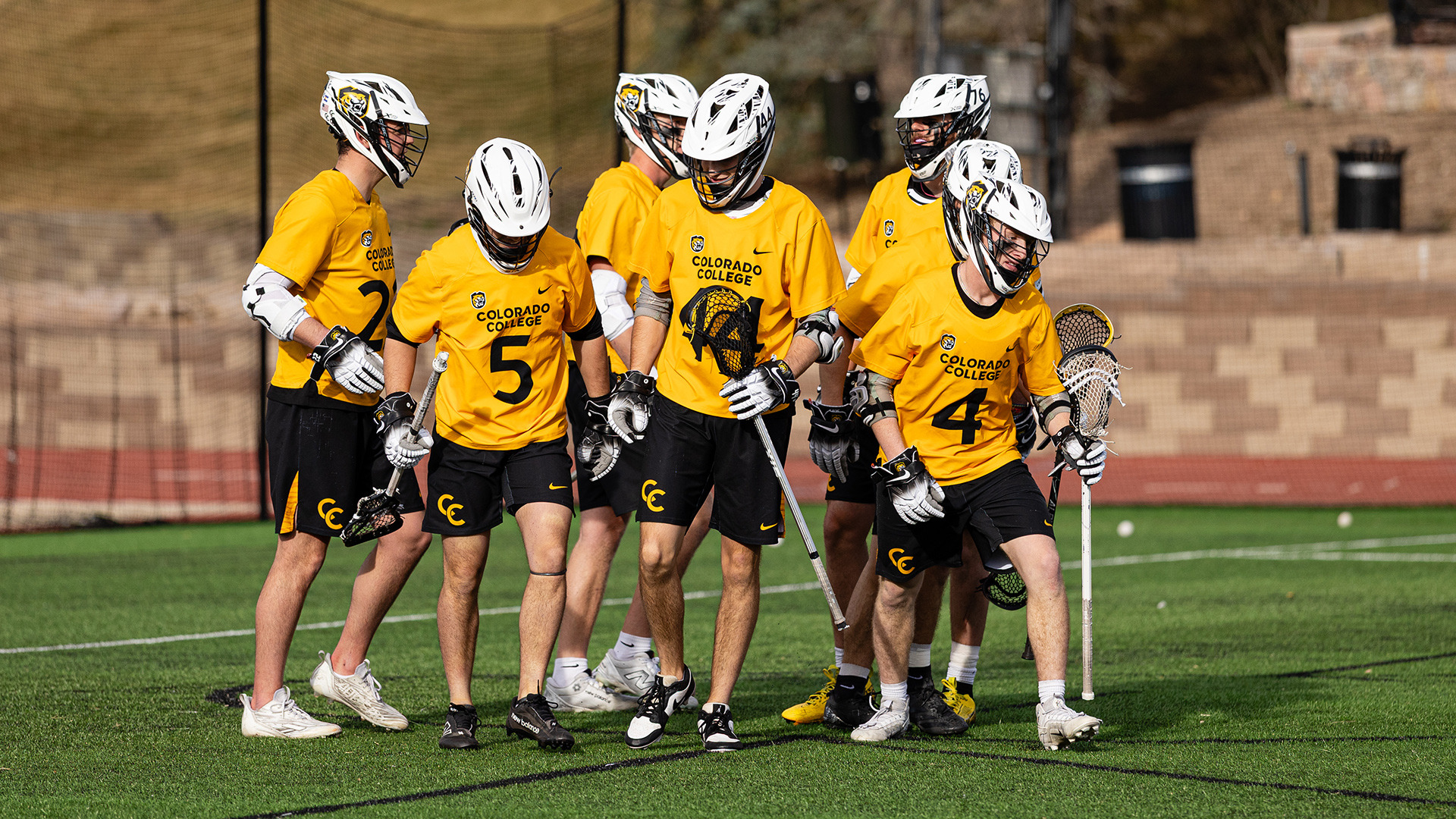NCAA web