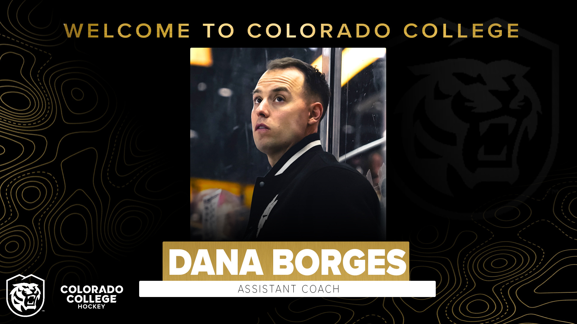 Dana Borges Welcome