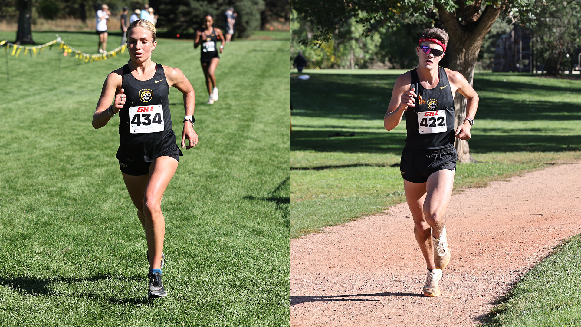 2026 XC Preview