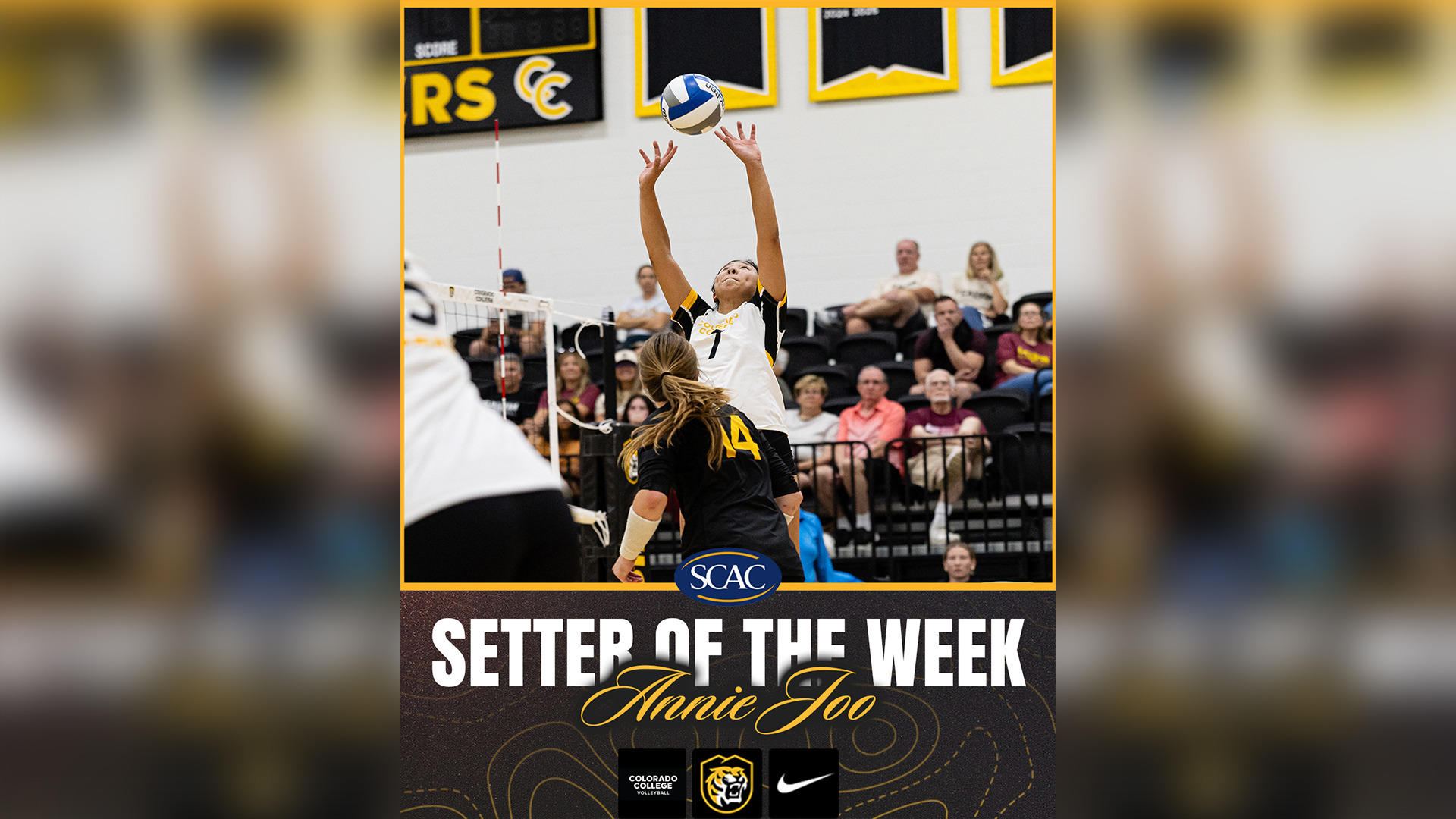 Joo Setter od the Week 9-8