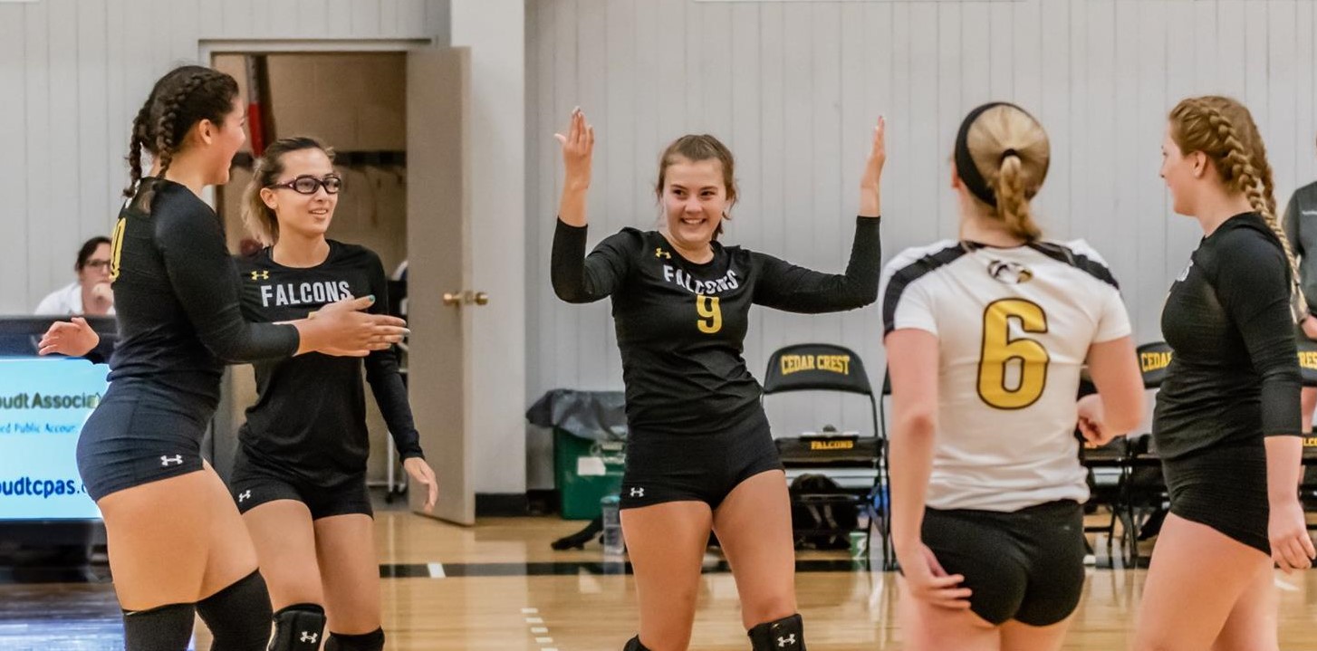 Volleyball Sweeps Ursinus in Home Opener Cedar Crest College Athletics