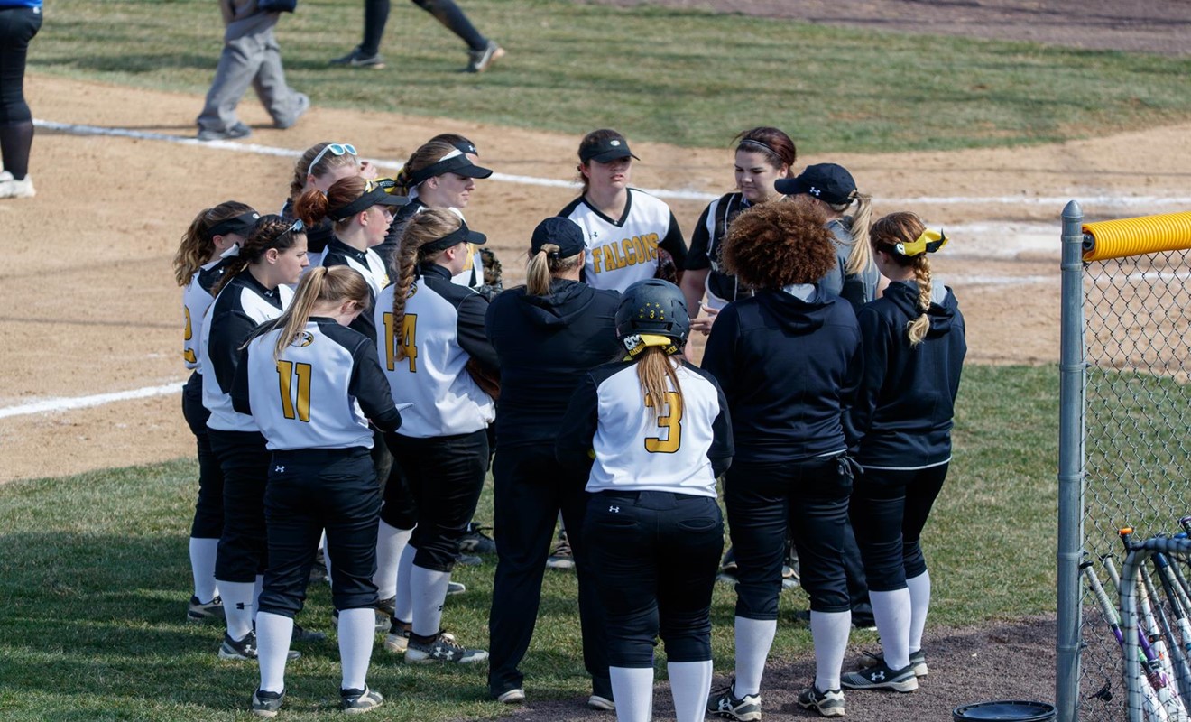 Courtney Constable 2018 Softball Cedar Crest College Athletics