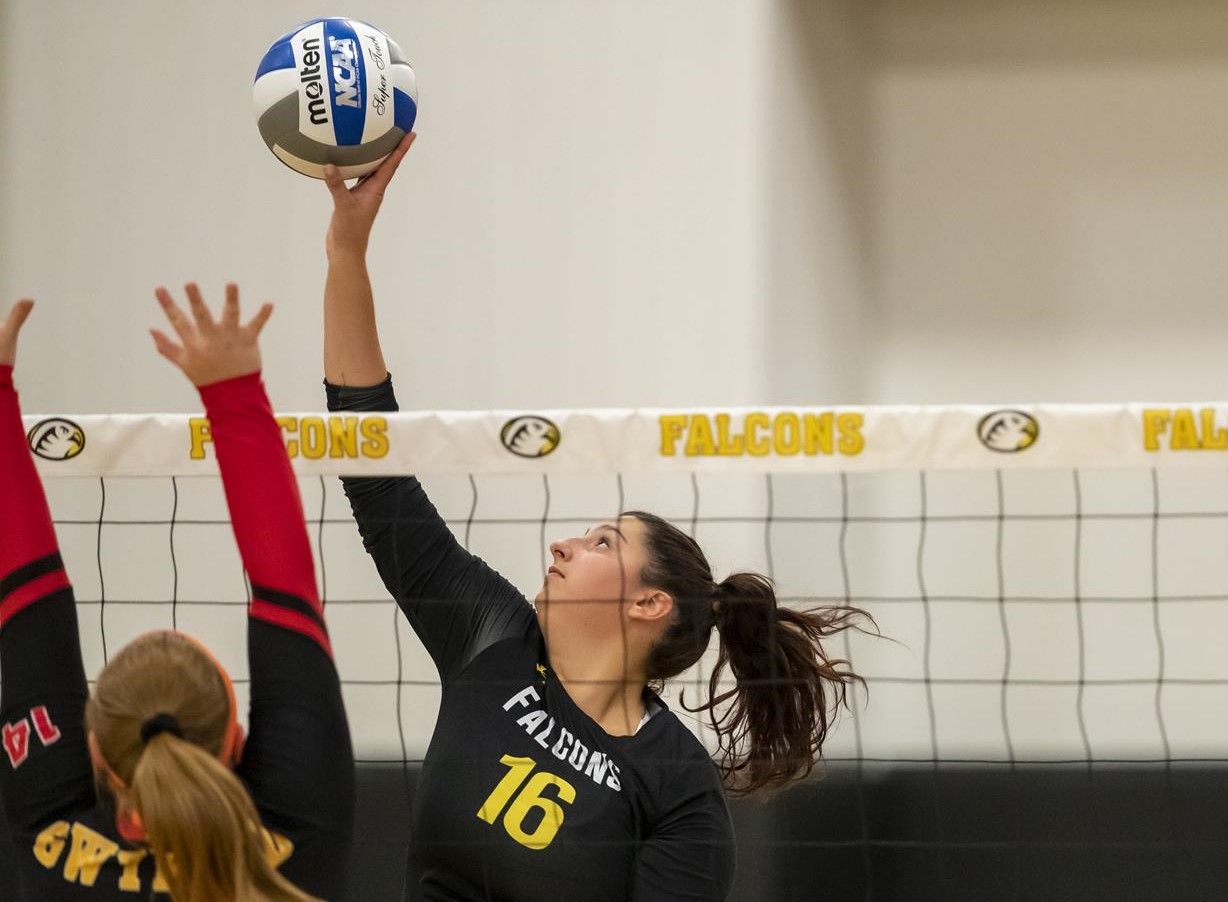 Nicole Hill 2019 Volleyball Cedar Crest College Athletics