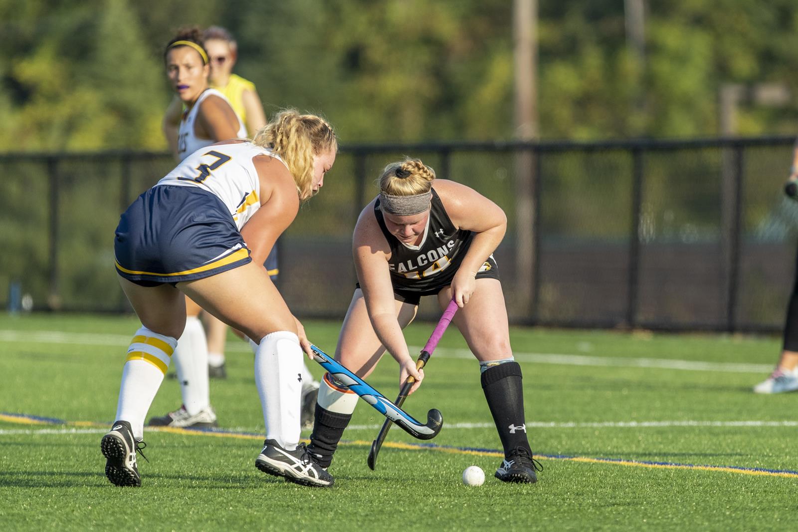 Brice Gardner 202021 Field Hockey Cedar Crest College Athletics