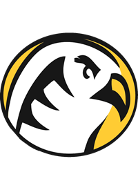 Falcon Head Head Shot