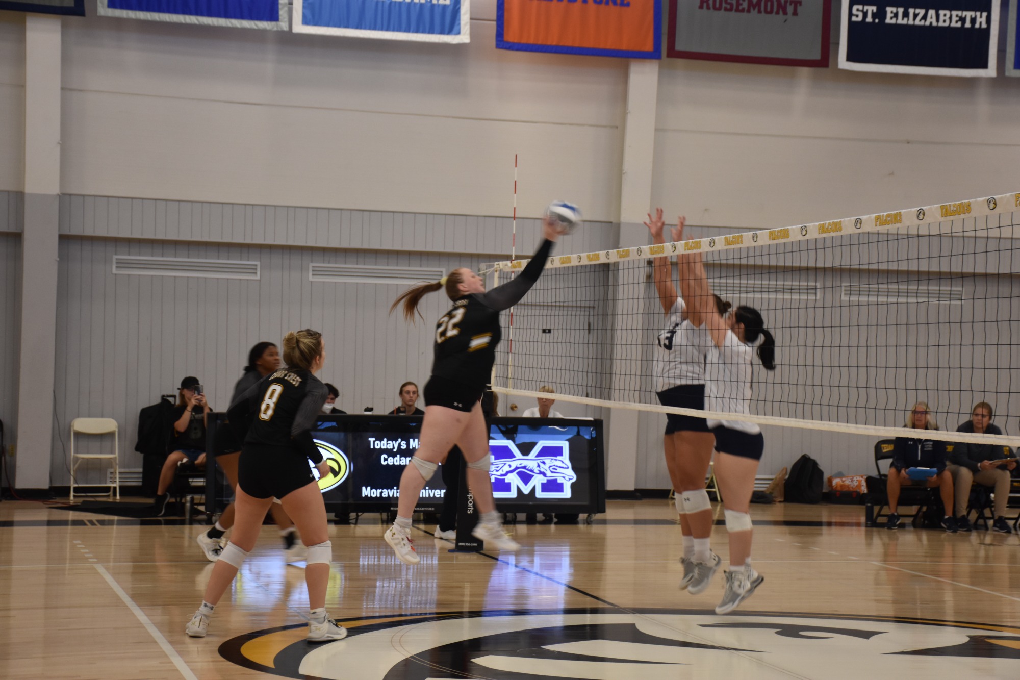 Kelsee Schouppe 2022 Volleyball Cedar Crest College Athletics