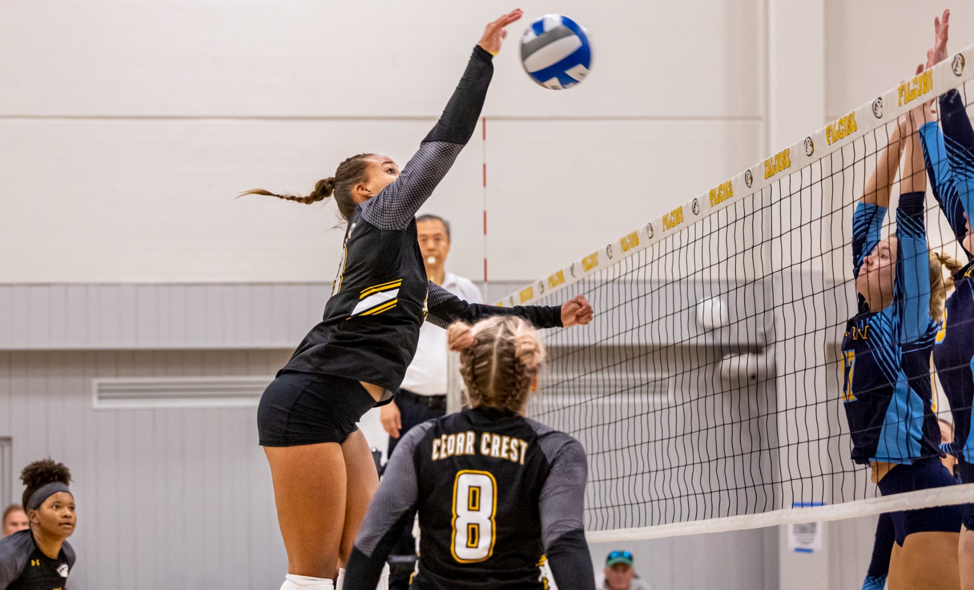 Ellise Everett 2023 Volleyball Cedar Crest College Athletics