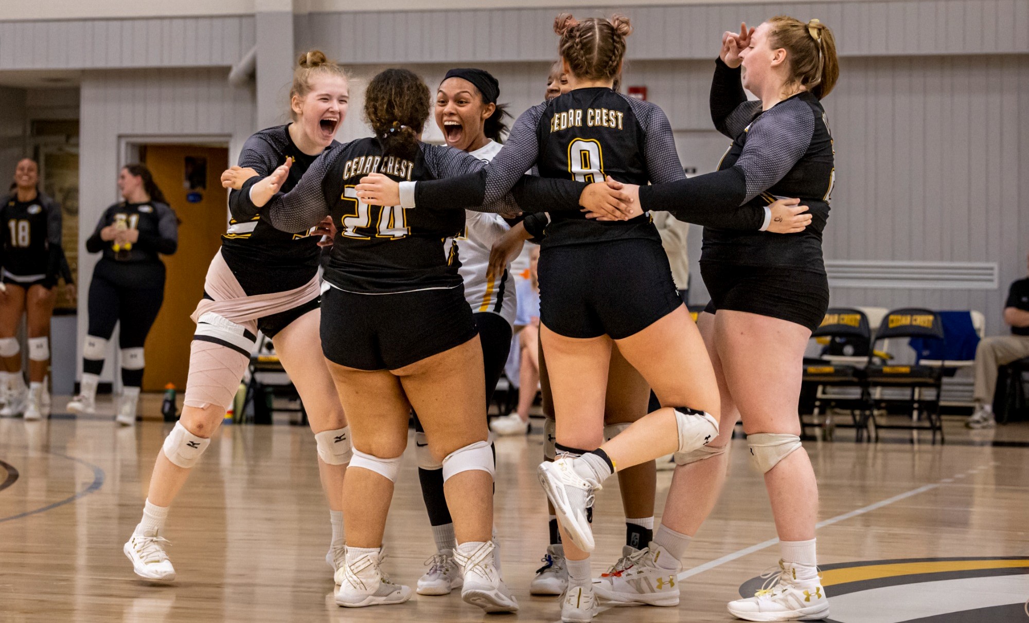 Volleyball Powers Past Wilson Cedar Crest College Athletics