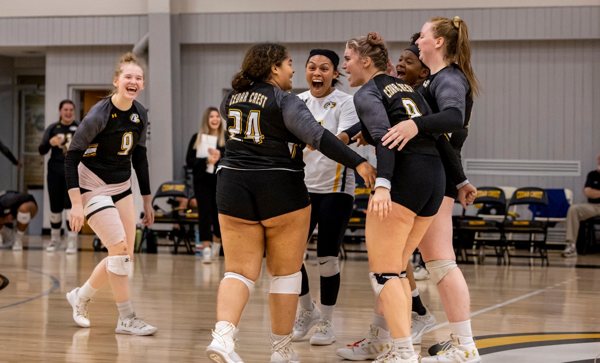 Volleyball Cruises Past Saint Elizabeth Cedar Crest College Athletics