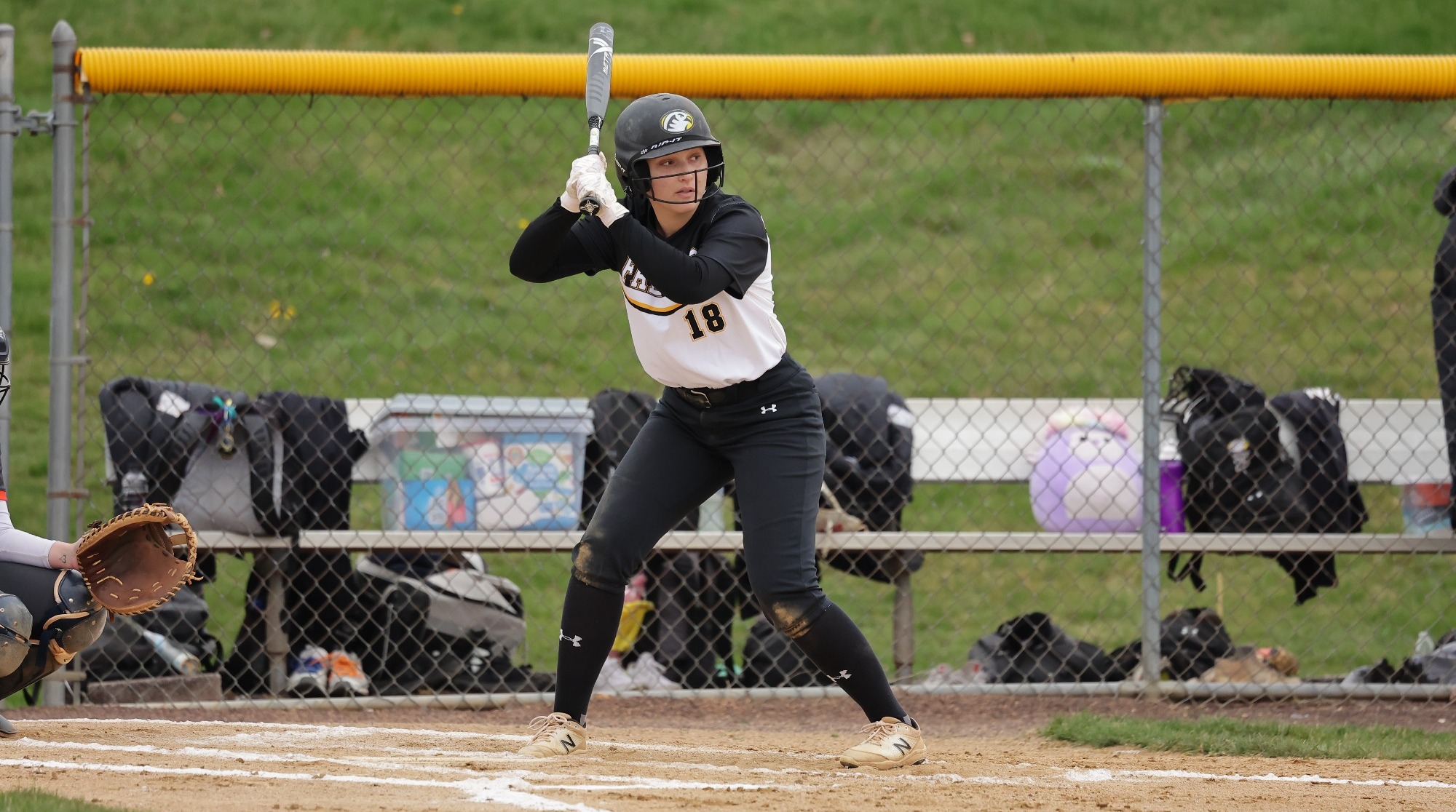 Laney Ferraro 2023 Softball Cedar Crest College Athletics