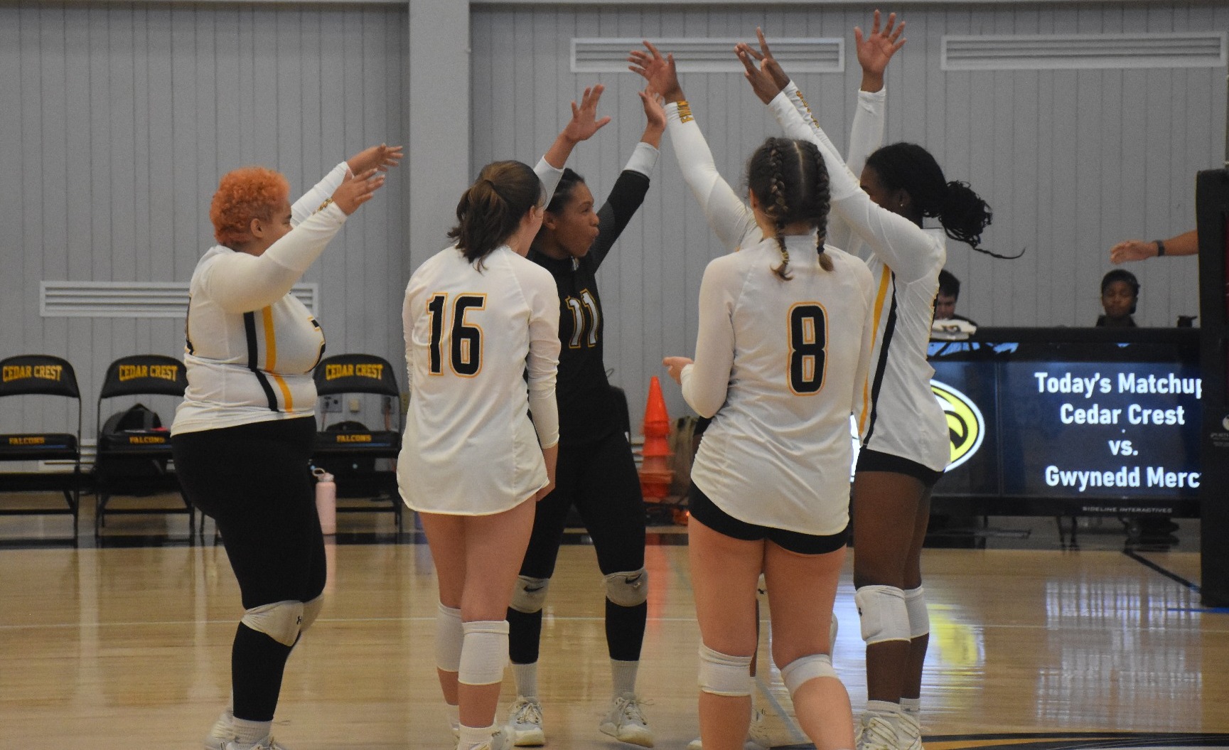 Volleyball Earns Sweep of Griffins; Takes Down Gwynedd Mercy for Second