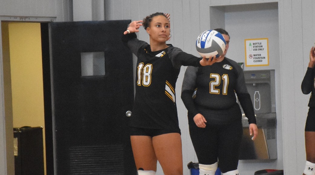 Ellise Everett 2023 Volleyball Cedar Crest College Athletics