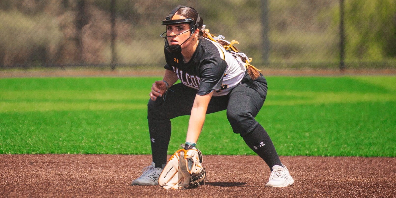 GronkowskiSBAction25