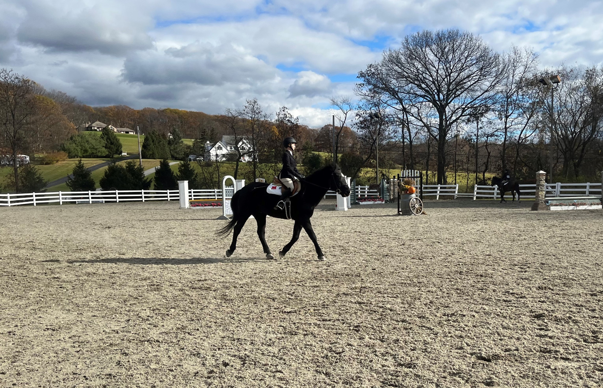 a rider dressed in show clothing riding a small black horse in an outdoor arena at a horse show