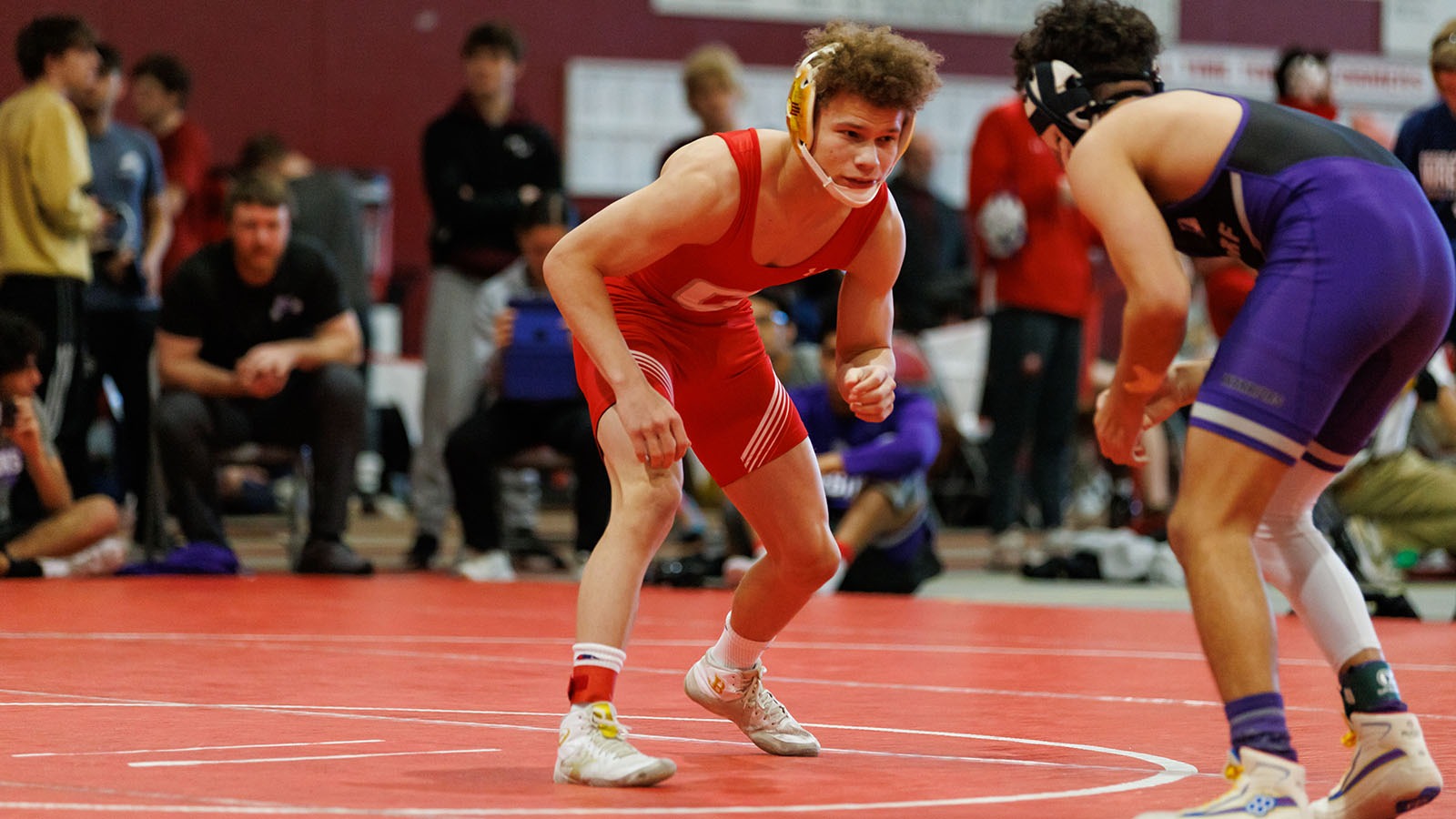 Cory Hoyle Men's Wrestling Central College Athletics