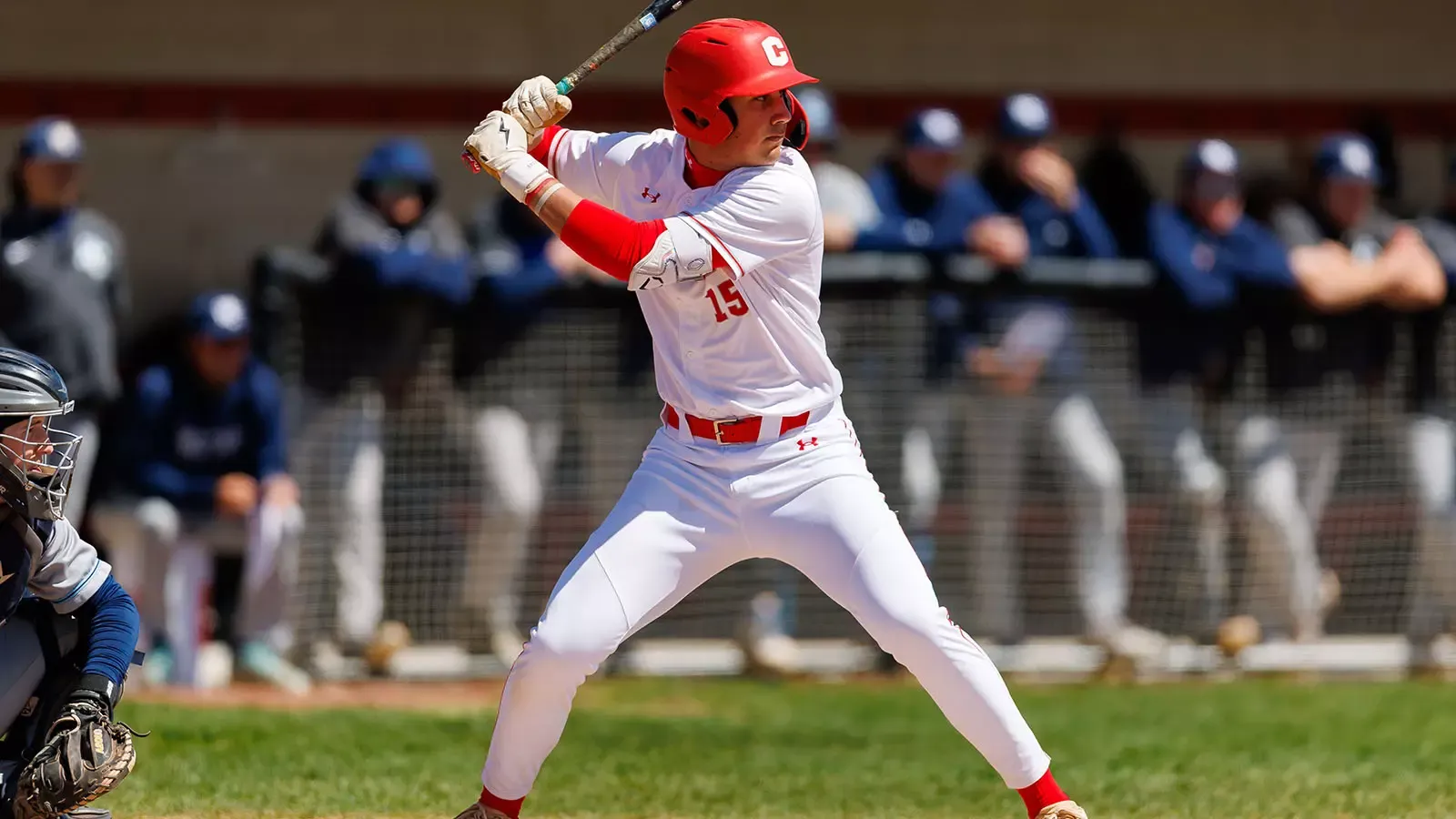 David Distefano at-bat