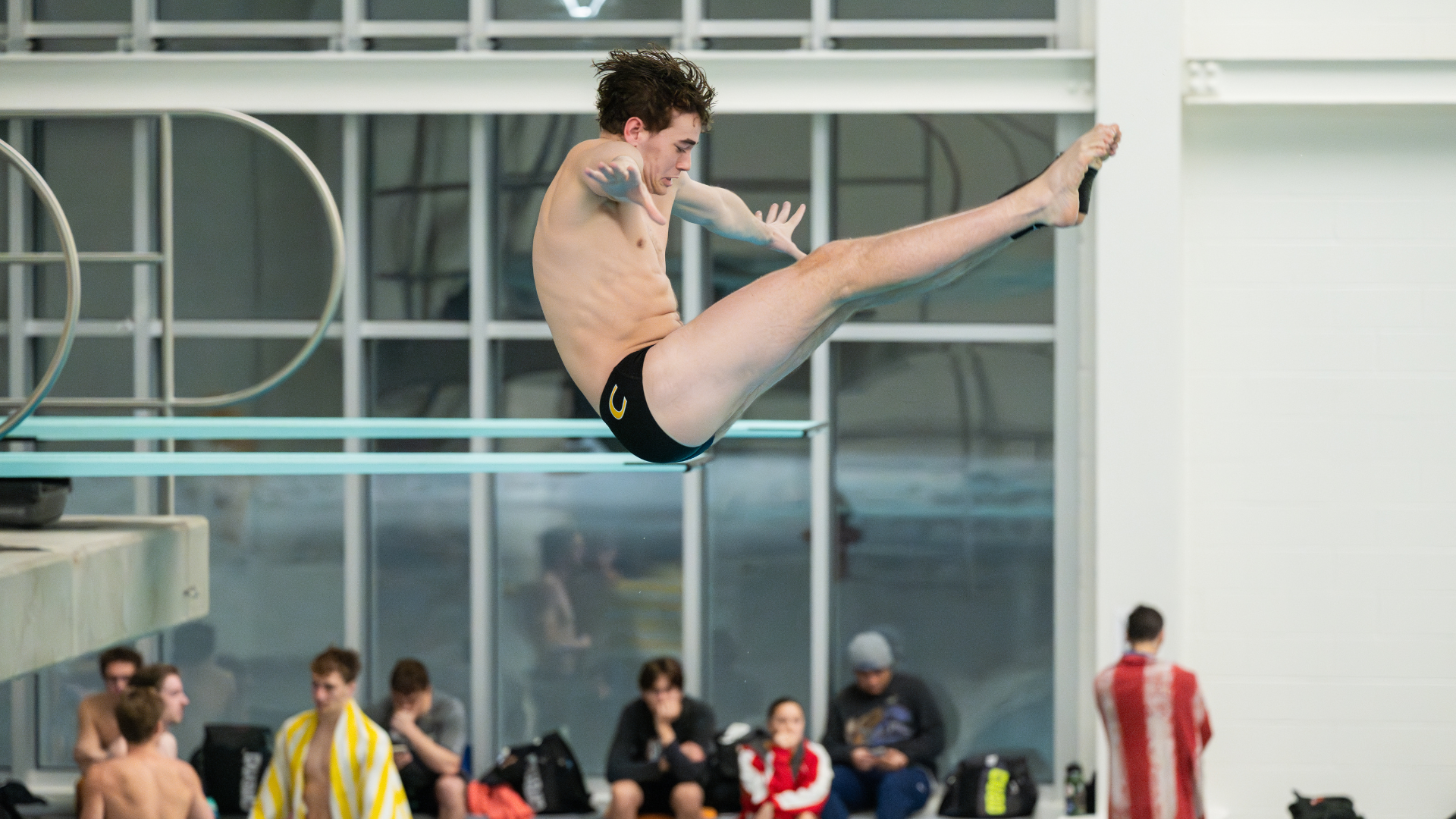 Fitz dive