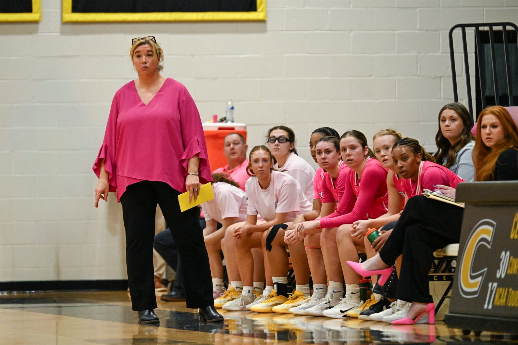 WBB vs Berry pink night