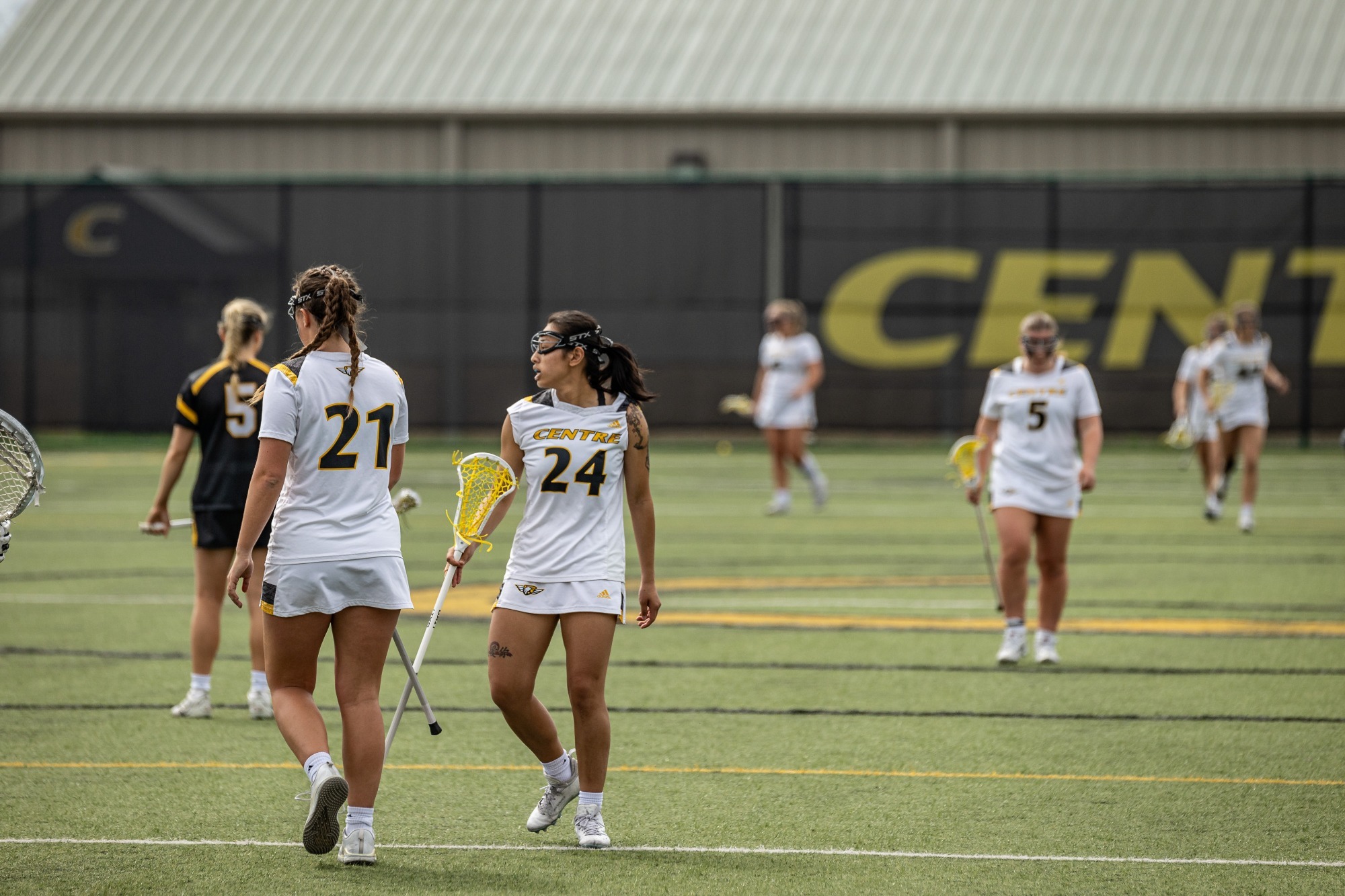 wlax