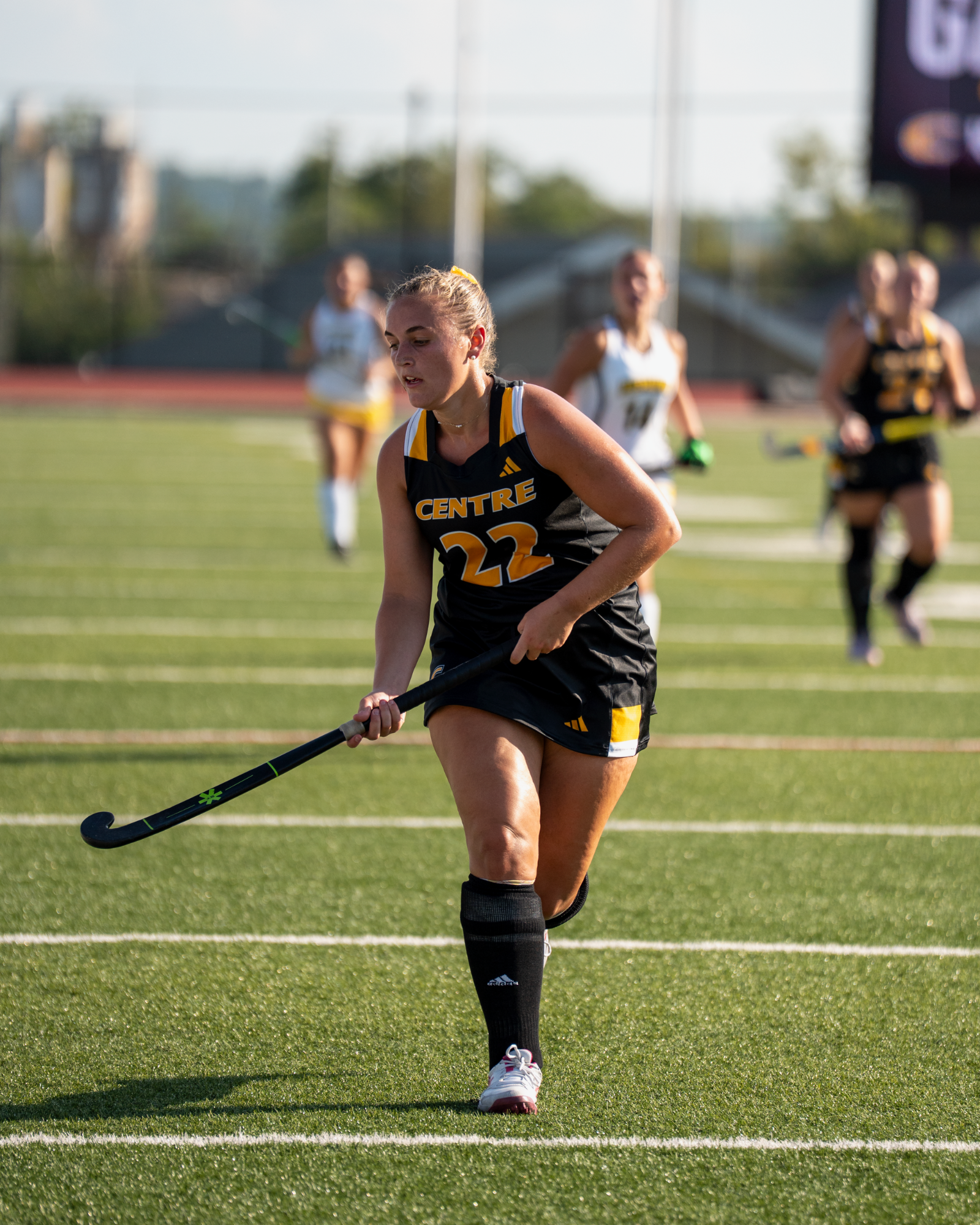ashley hamilton