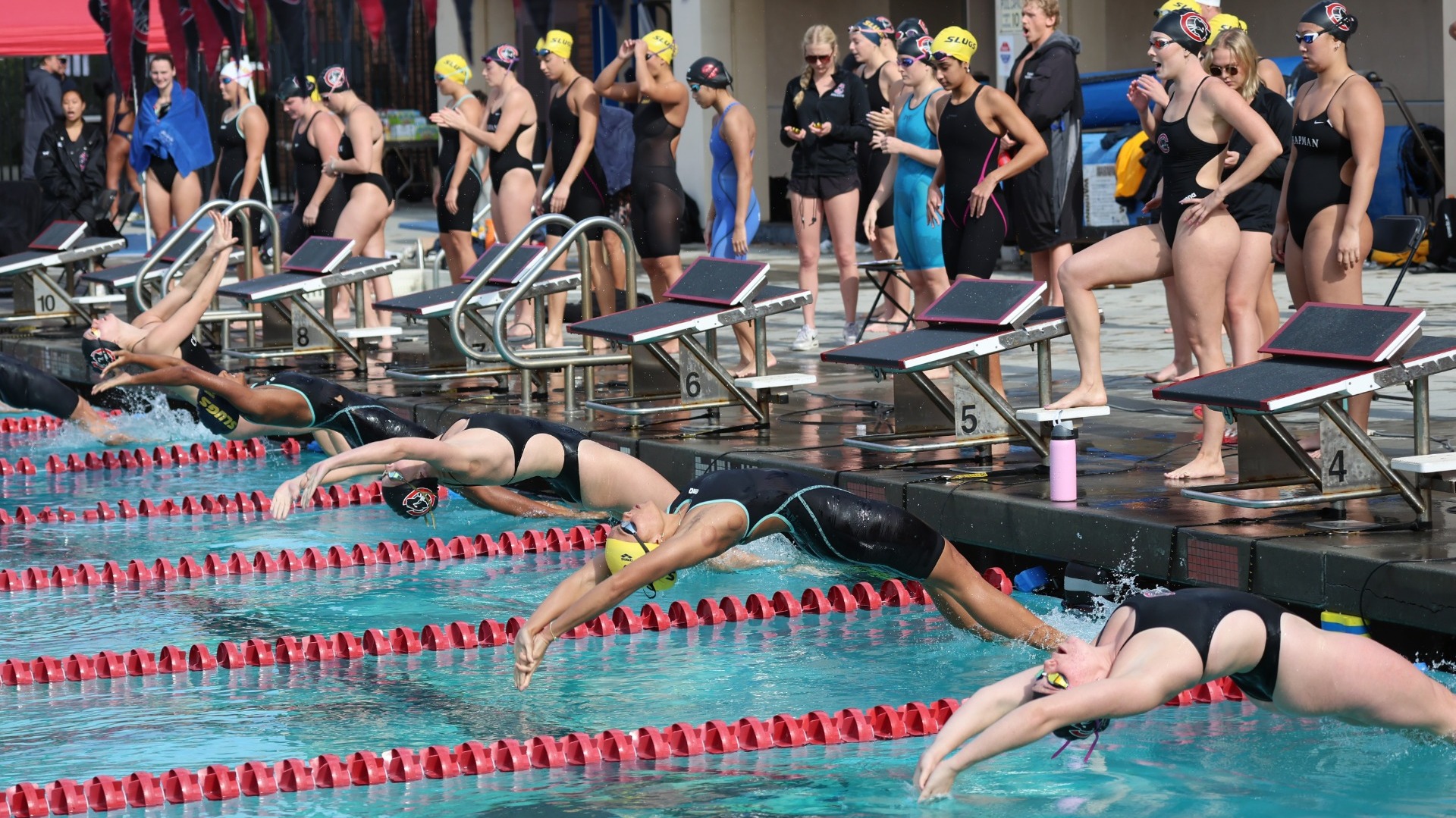 swim and dive photo 