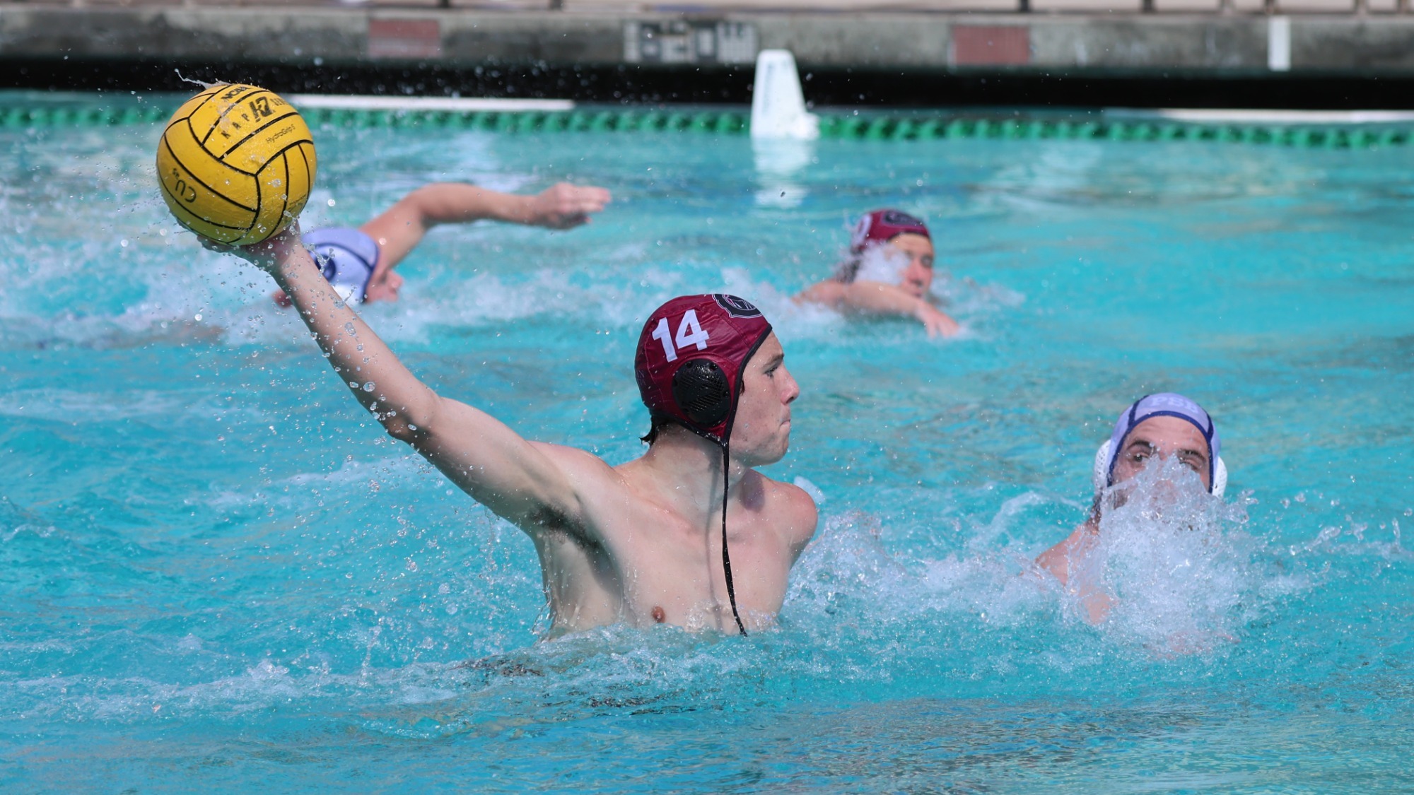 Matthew Cormican in the pool with the water polo ball.