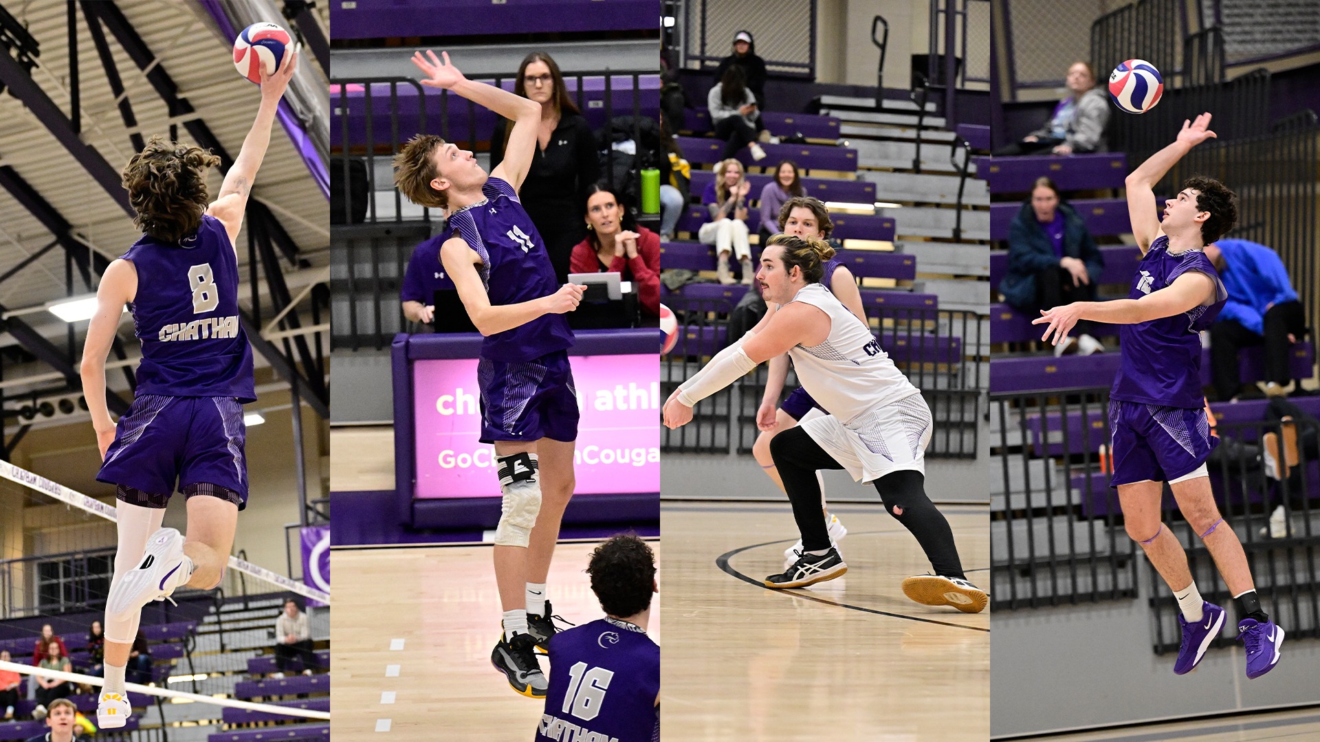all-pac mvb