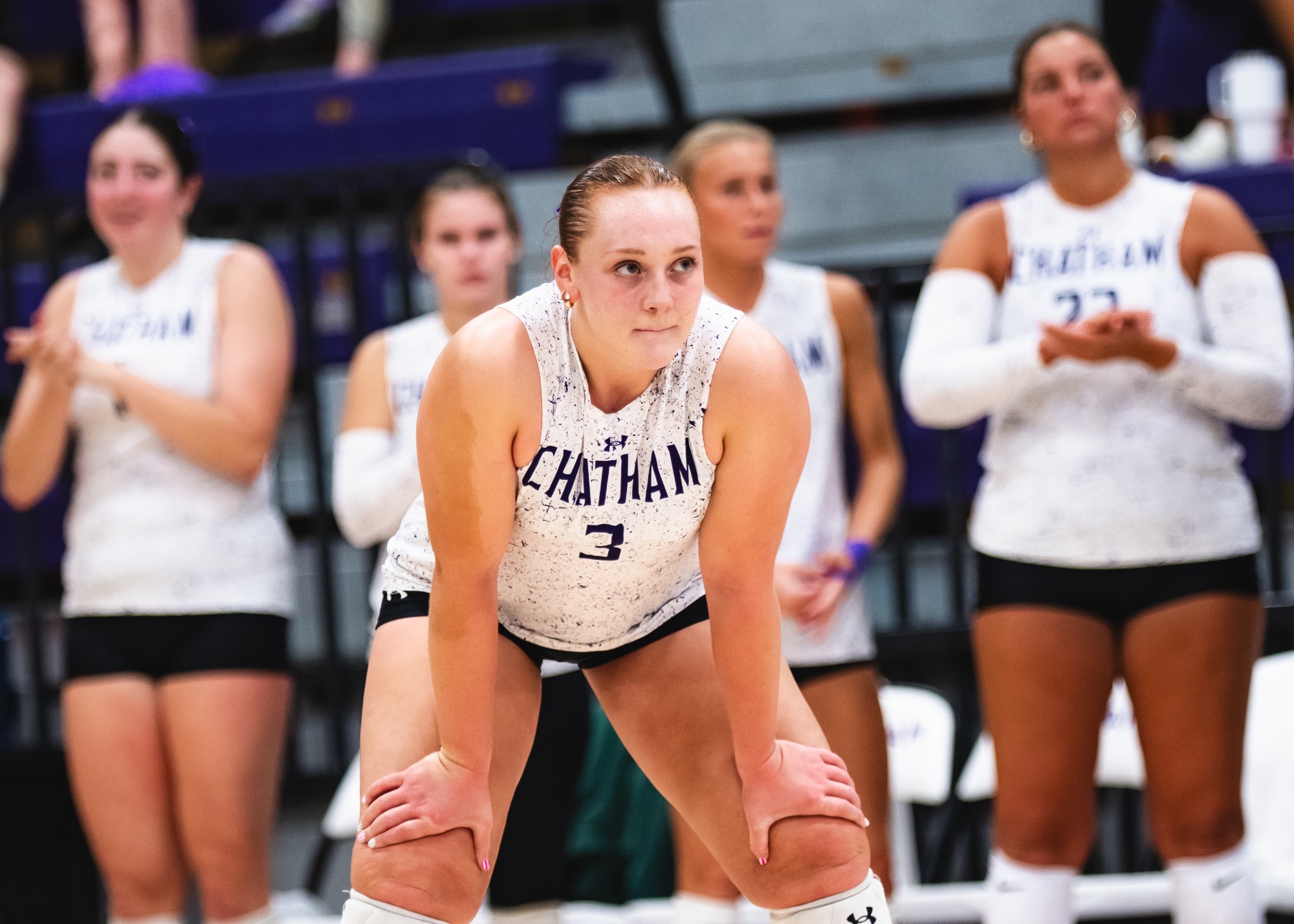 Dig