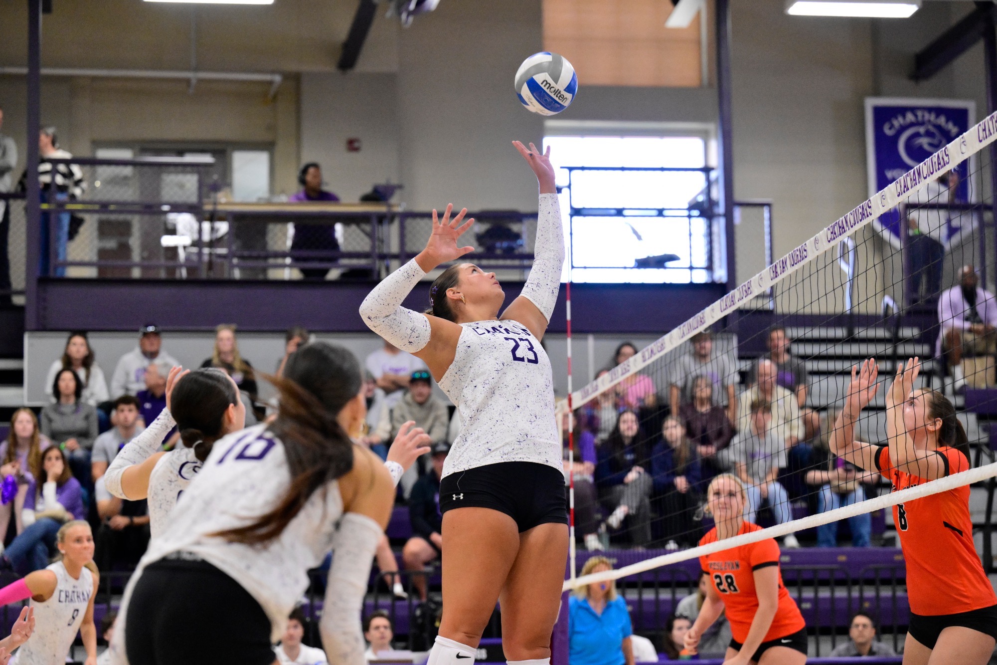 WVB